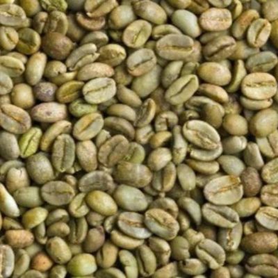 EXPORT COFFEE